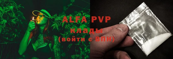 PSILOCYBIN Балахна