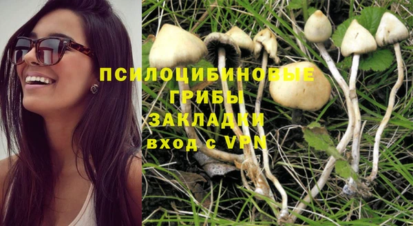 PSILOCYBIN Балахна