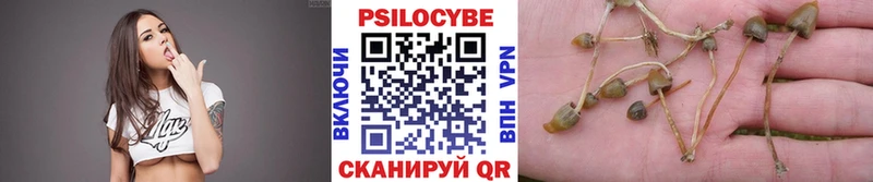 Купить где  Майский  Галлюциногенные грибы прущие грибы 