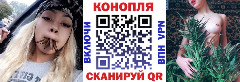 Купить  Майский  Бошки марихуана план 